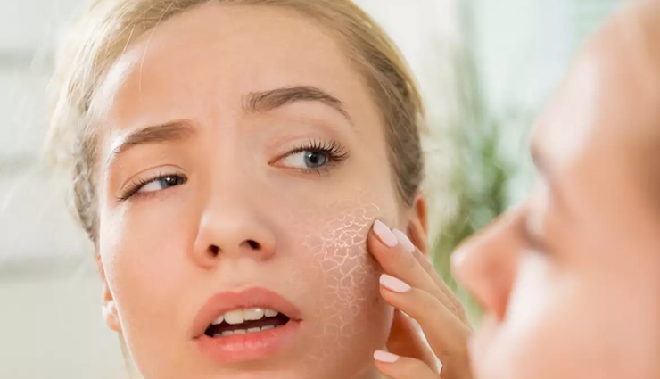 बालों के साथ स्किन को भी फायदा पहुंचाता हैं एलोवेरा ऑयल, जानें इसके बारे में aloe vera oil benefits for skin and hair,benefits of aloe vera oil for skincare and haircare,amazing benefits of aloe vera oil for skin and hair,aloe vera oil advantages for skin and hair health,aloe vera oil uses for skin and hair improvement,how aloe vera oil benefits skin and hair,aloe vera oil benefits and uses for skin and hair,enhancing skin and hair with aloe vera oil benefits,aloe vera oil properties for skin and hair enhancement,aloe vera oil benefits: skin and hair revitalization