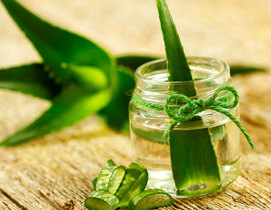 5 Benefits of Keeping Aloe Vera Plant at Home