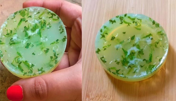 beauty tips,beauty tips in hindi,aloe vera,aloe vera for glowing skin,aloe vera natural soap
