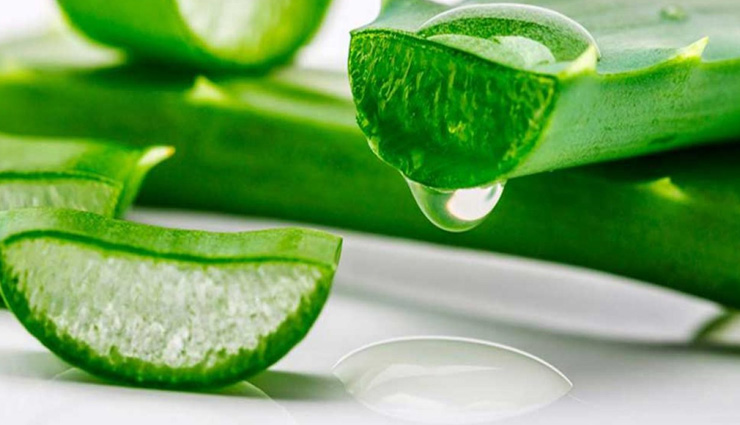 beauty tips,beauty tips in hindi,aloe vera on face,apply tips of aloe vera