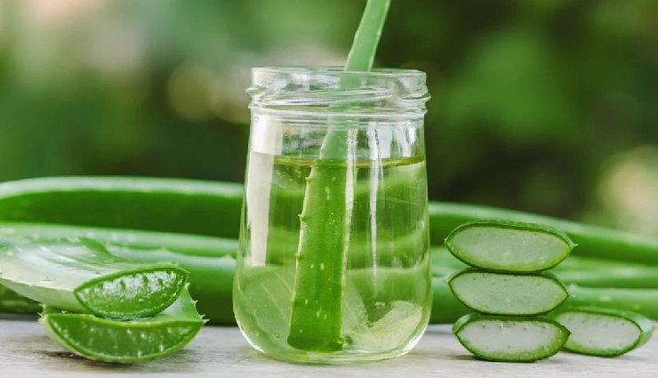 10 Amazing Benefits of Using Aloe Vera During Summer for Your Skin