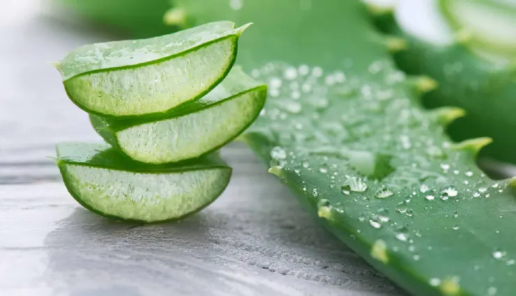 healing herbs,natural remedies,homegrown herbs,herbal medicine,immunity boosting herbs,natural wellness,herbal healing,medicinal plants,natural health tips,safe herbal remedies,herbs for immunity,organic healing,traditional healing herbs,healing plants to grow,natural living tips