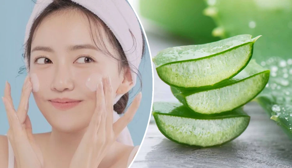 एलोवेरा के इस्तेमाल से पाएं कोरियन जैसी दमकती और हेल्दी स्किन – जानें सही तरीका