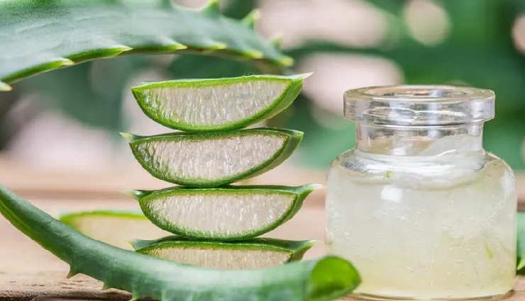 5 DIY Aloe Vera Face Packs To Soothe You Skin in Summers