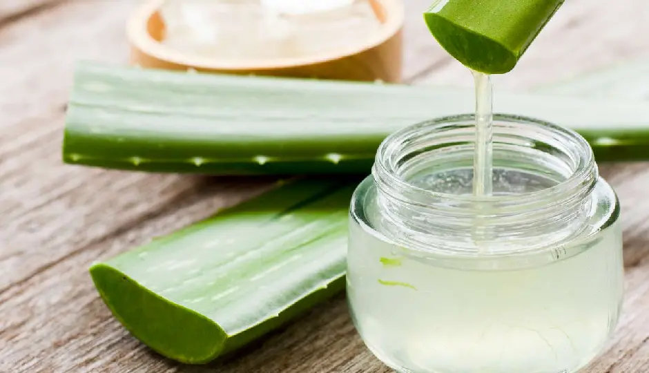 aloe vera gel,night skin care,dry skin remedy,soft skin,hydrated skin,anti wrinkle,skin moisturizer,mulayam twacha,night routine