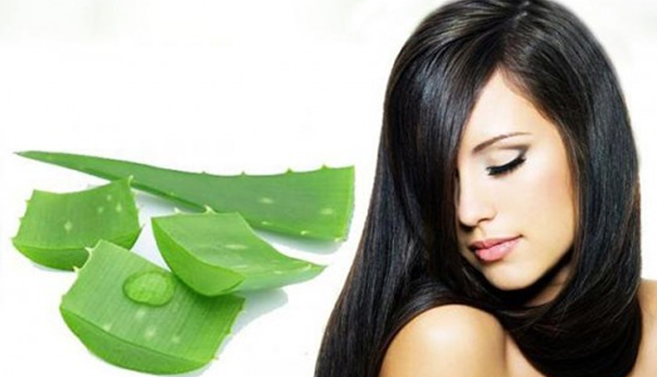 Amazing Beauty Benefits of Aloe Vera for Hair