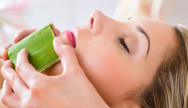 6 Amazing Benefits of Using Aloe Vera for Skin