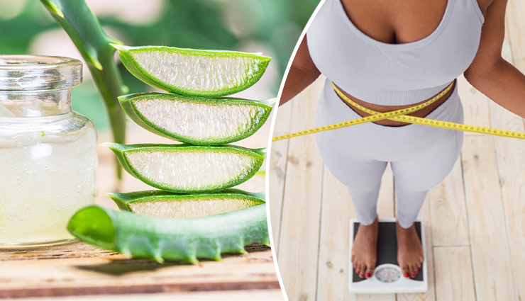 गुणों का खजाना है एलोवेरा, इसका सेवन कम कर सकता है आपका बेली फैट, जानें कैसे 