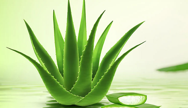 diy oil control face masks,home remedies for oily skin,natural ways to reduce face oil,controlling oily skin,oil control skincare,oily skin remedies,diy face treatments for oil control,reduce facial oil naturally,mattifying home remedies,prevent oily face