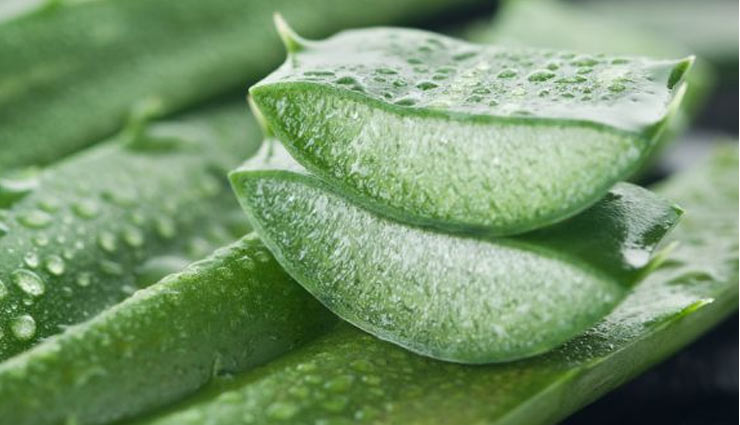 alovera face packs,alovera,beauty tips,skin care,skin care tips