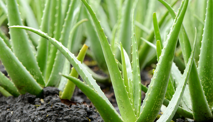 superfoods for glowing skin,skin-nourishing superfoods,superfoods for healthy skin,glowing skin superfoods in hindi,health benefits of superfoods,superfoods for radiant skin,superfoods for skin care tips,beauty skin superfoods,beauty tips in hindi for glowing skin,superfoods for beauty in hindi,superfoods for healthy living,incorporating superfoods into your diet,superfoods for overall health,superfoods for skin health,superfoods for natural beauty,superfoods for glowing complexion,superfoods for youthful skin,superfoods for skin rejuvenation,beauty tips for healthy living in hindi,skin care tips for glowing skin in hindi