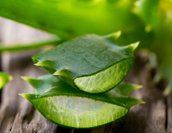  पढ़े : आखिर क्यू जरुरी है ग्वारपाठे का सेवन, आखिर क्या है इसमें ऐसा