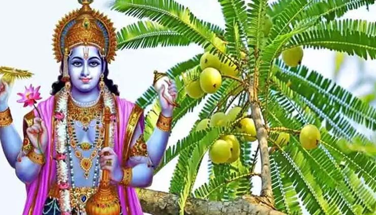 astrology tips,astrology tips in hindi,amalaki ekadashi special,amalaki ekadashi 2021