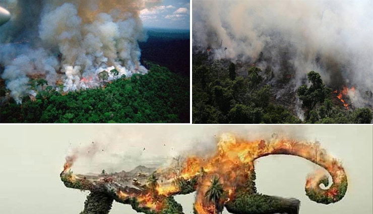 अमेजन : खतरे में धरती, करीब 2 हफ्ते से जल रहा है दुनिया का सबसे बड़ा जंगल PHOTOS
