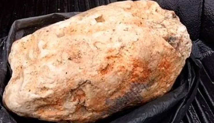 व्हेल की उल्टी ने पलटी मछुआरे की किस्मत,  हाथ लगा 25 करोड़ का 'खजाना' 