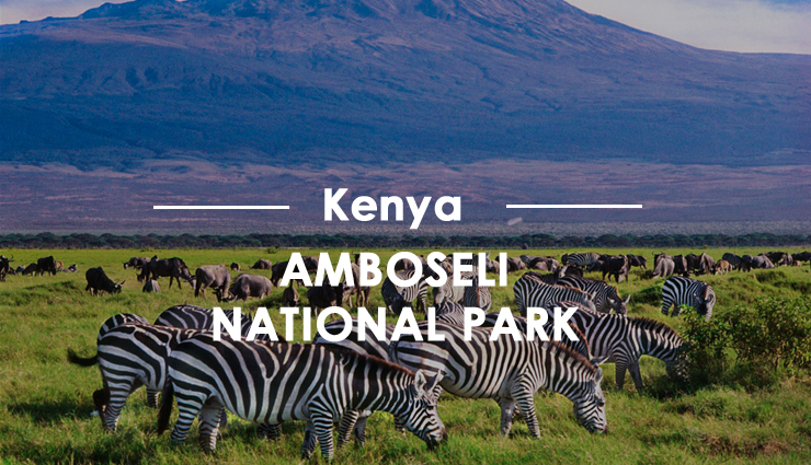 africa,national park in africa,must visit national park in africa,8 must visit national park in africa,serengeti national park,etosha national park,kruger national park,lake nakuru national park,namib-naukluft national park,virunga national park,ngorongoro national park,amboseli national park,travel,holidays,travel guide