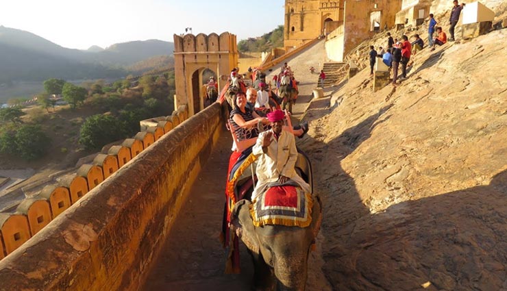 जयपुर : गहलोत सरकार ने बढ़ाया महावतों की मदद के लिए हाथ, बंद पड़े पर्यटन में हाथियों के लिए हर दिन 1500 रुपए की मदद