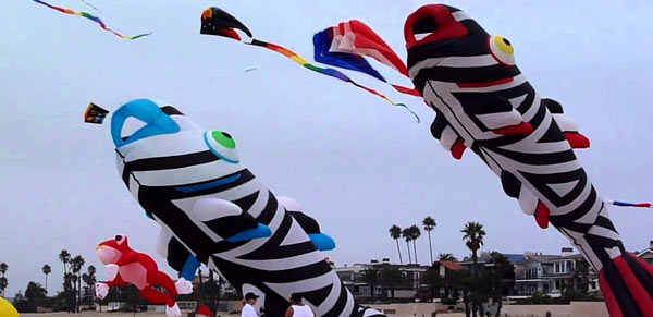 kite flying is famous in countries,japan,india,china,thailand,america,makar sankranti special,makar sankranti ,मकर संक्रांति,भारत के अलावा इन देशों में भी होती है पतंगबाजी