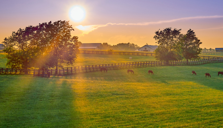 america,things to do in america,places to visit in america,baseball at fenway park,boston,massachusetts,country music,nashville,tennessee,cable cars,san francisco,california,hot dogs and roller coasters,coney island,new york,bourbon and horse country,kentucky