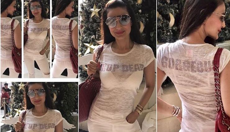 bollywood,ameesha patel,viral photo,instagram,bollywood news