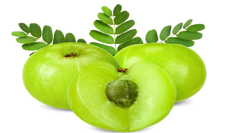 hair care tips,home remedies,home remedies to treat grey hair,hair care tips,beauty tips