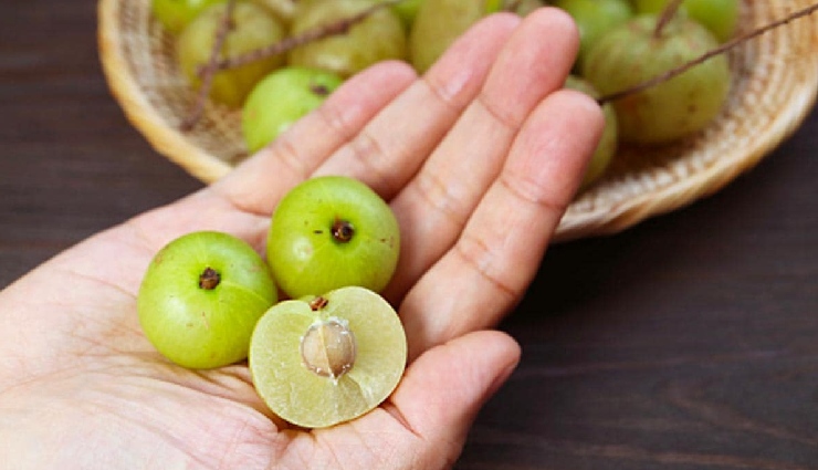 dengue prevention,dengue symptoms,mosquito-borne diseases,tropical diseases,dengue in india,dengue virus,natural remedies for dengue,dengue recovery juices,how to prevent dengue,dengue and platelet count,stagnant water and mosquitoes