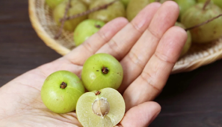 obesity causes,unhealthy lifestyle,junk food effects,sedentary habits,bmi and obesity,obesity in india,obesity health risks,ayurvedic herbs for weight loss,natural remedies for obesity,stress and obesity,anti-obesity herbs,modern lifestyle diseases