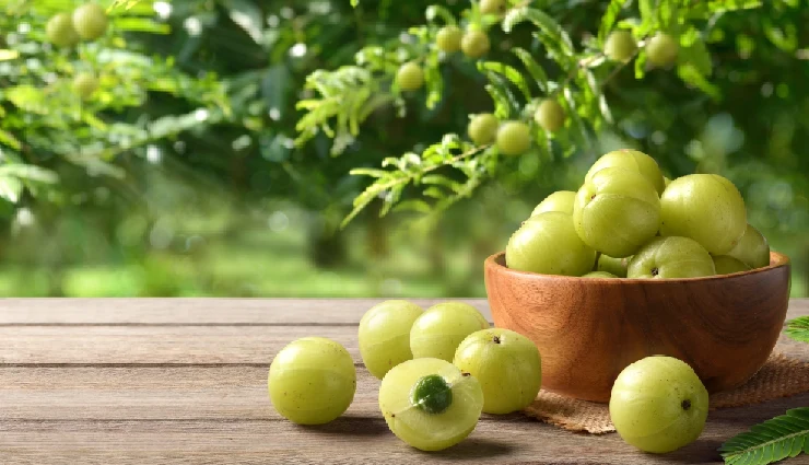 fatty liver,hepatic steatosis,nafld,afld,liver health,home remedies,natural remedies,liver disease,insulin resistance,obesity,high cholesterol,liver function