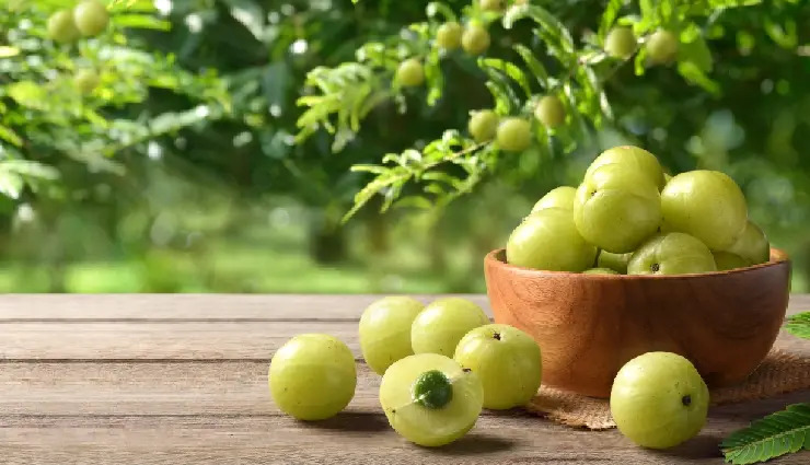 8 DIY Ways To Use Amla for Skin and Hair
