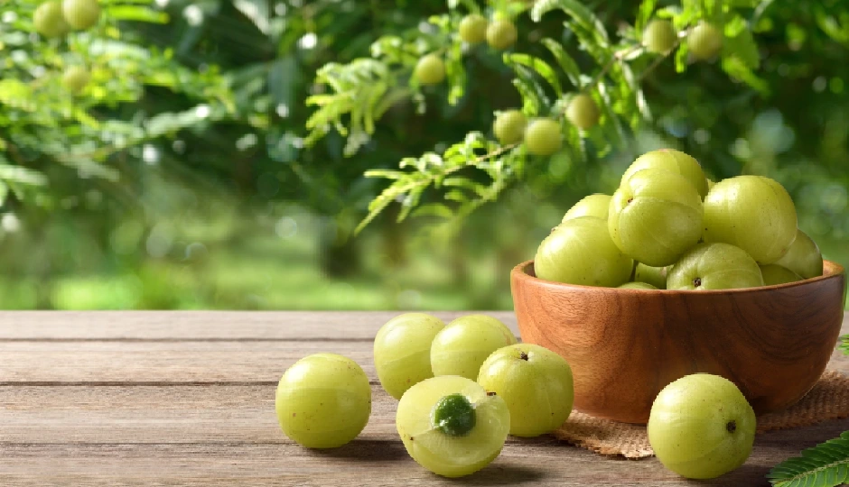 7 DIY Ways To Use Amla for Skin and Hair