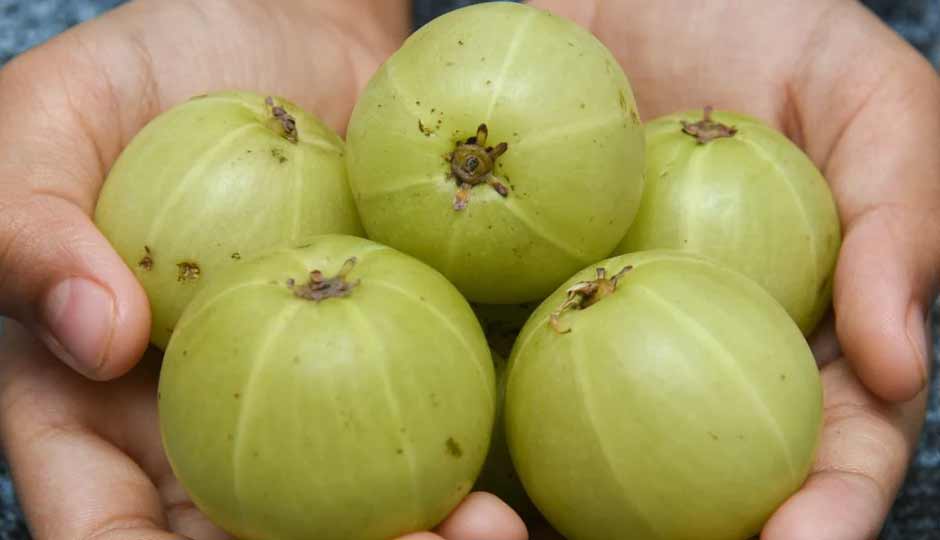14 Amazing Health Benefits of Amla