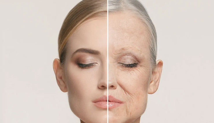 aloe vera,health benefits of aloe vera,Health tips,fitness tips