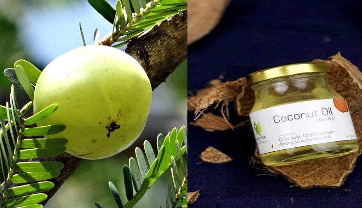 beauty tips,beauty tips in hindi,beard and mustache care,white hair in beard,home remedies