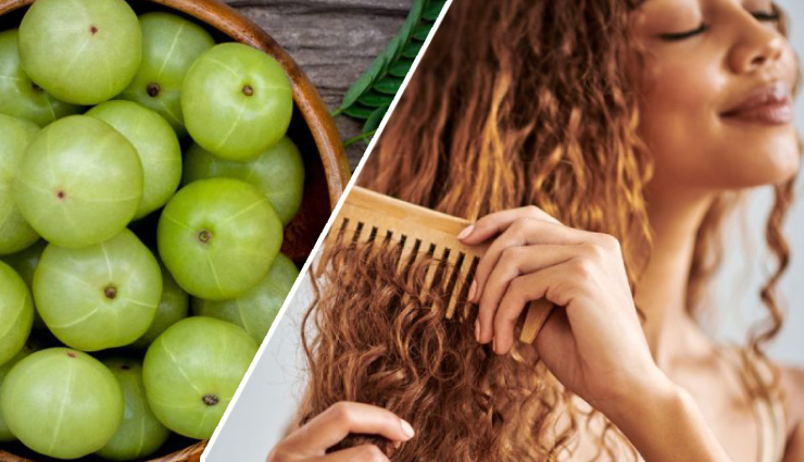 12 Amazing Benefits of Using Amla for Hair
