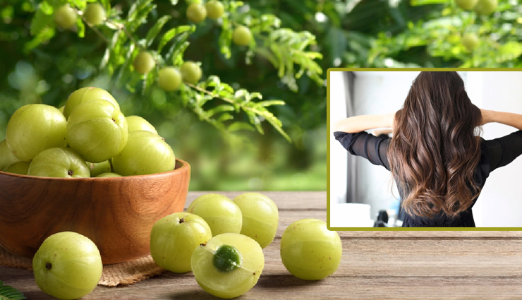 5 DIY Ways Amla Can Help You Get Strong Hair