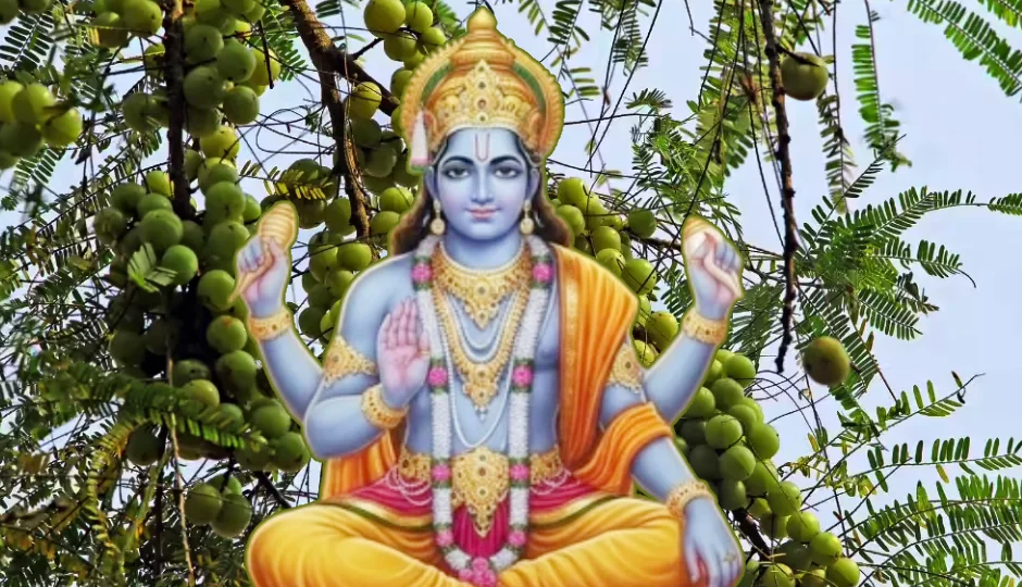 आंवला नवमी 2025: जानें तिथि, पूजा विधि और आंवले के वृक्ष की आराधना से मिलने वाले शुभ फल