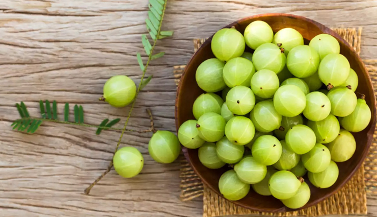 start consuming amla in winter,you will get these miraculous benefits,Health,healthy living