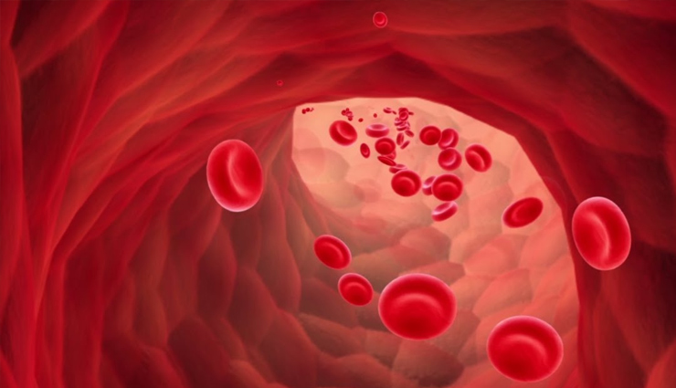 spirulina,spirulina health benefits,spirulina benefits,benefits of spirulina,Health,Health tips