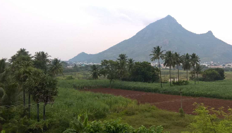 tamil nadu hill stations,hill stations in southern india,nature retreats in tamil nadu,western ghats hill stations,eastern ghats destinations,kodaikanal travel guide,kolli hills attractions,thoppur hill town,anaimalai scenic viewpoints,yercaud plantations