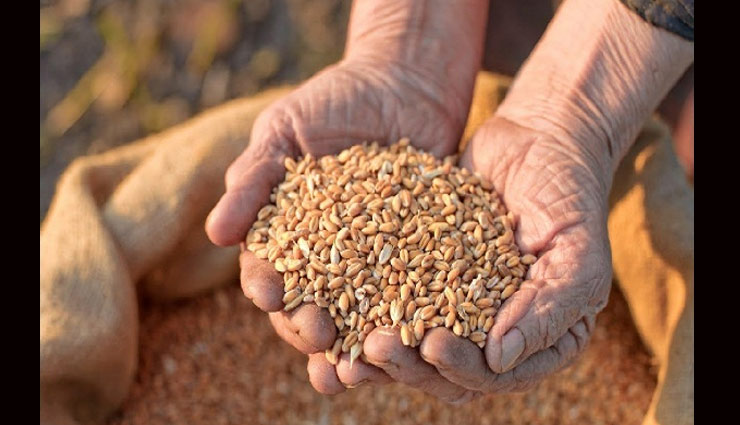 astrology tips,shiva puran,importance of donation,salt