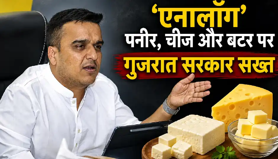 'एनालॉग' पनीर, चीज और बटर पर गुजरात सरकार सख्त, नियम तोड़ने वालों पर होगी कड़ी कार्रवाई; टास्क फोर्स बनाने का ऐलान