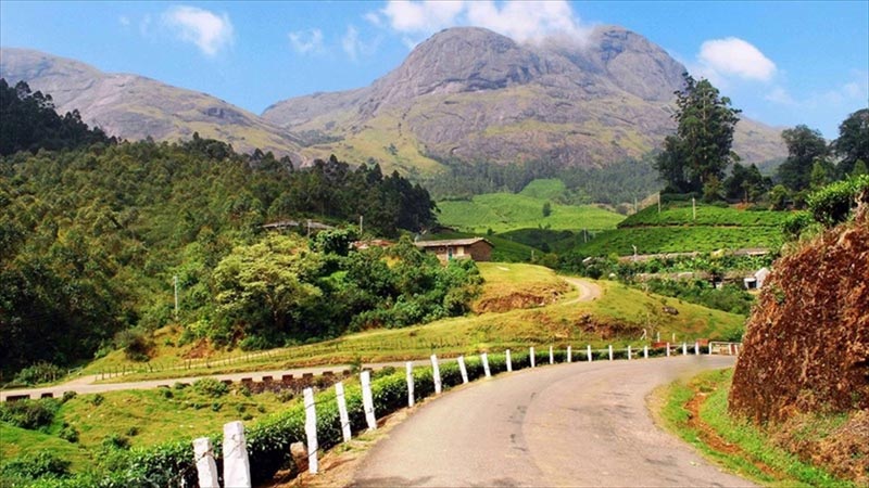 kerala,munnar,munnar tourist places,tea museum,atukkad waterfalls,palli vasal,mettupatty