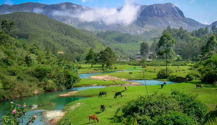 munnar tourist places,must-visit places in munnar,best tourist attractions in munnar,munnar sightseeing,munnar hill stations,scenic places in munnar,top tourist spots in munnar,munnar travel guide,natural beauty of munnar,places to see in munnar