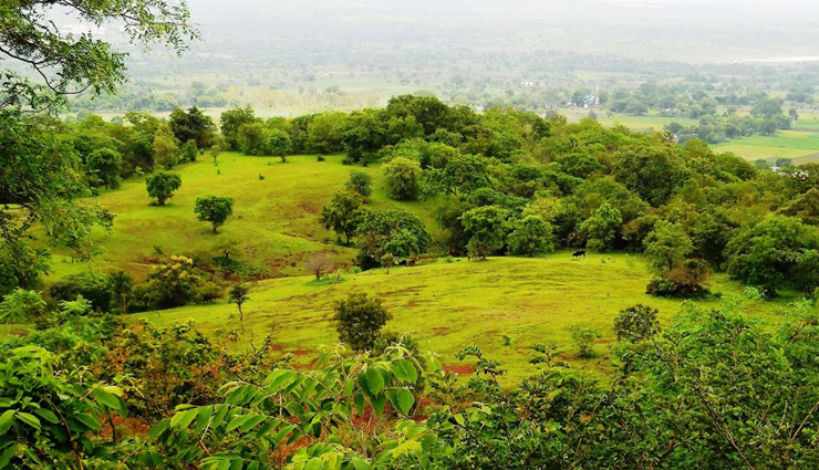 south india hill stations,hill stations in tamil nadu,kerala hill station retreats,coorg coffee plantations,munnar tea gardens,ooty nilgiri mountains,kodaikanal scenic beauty,idukki dam attractions,yelagiri summer festival,ananthagiri hills nature sanctuary,ponmudi golden hill trekking,horsley hills wildlife exploration,lambasingi snowfall experience,hidden gems in south india,tamil nadu hill station adventures