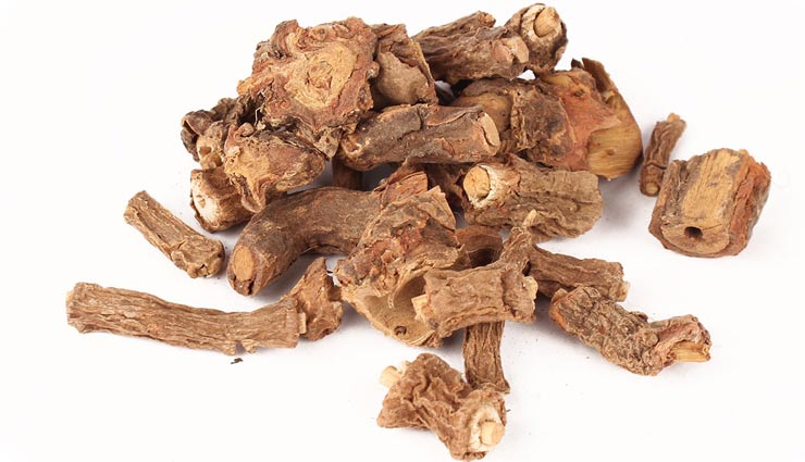 Health tips,5 amazing benefits of anantmool,anatmool plant benefits,healt benefits,healthy plants