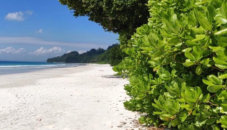 andaman,places to visit in andaman,tourist attraction in andaman,cellular jail national memorial,radhanagar beach,mount harriet and madhuban,rajiv gandhi water sports complex,north bay beach,mahatma gandhi marine national park