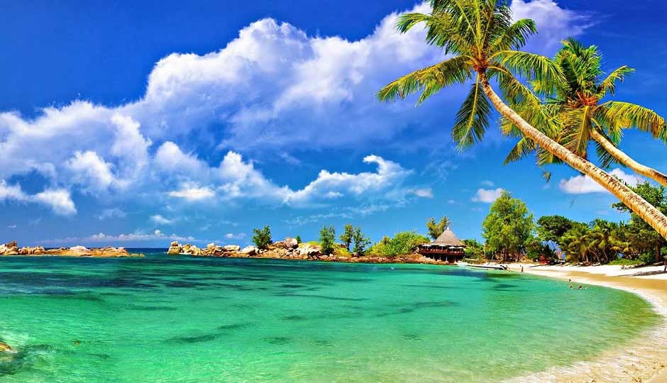 8 Beautiful Beaches To Visit in Andaman and Nicobar Islands