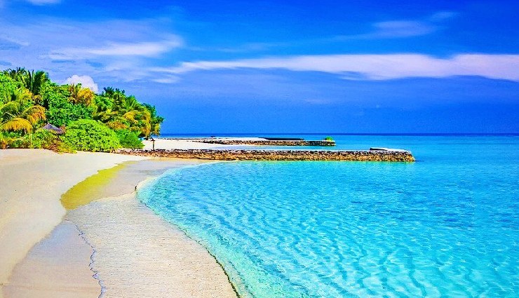 8 Beautiful Beaches You Can Explore in Andaman and Nicobar Islands