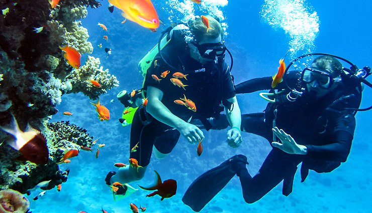 scuba diving spots in india,best diving locations in india,top scuba diving destinations india,scuba diving adventures in indian waters,india underwater treasures for diving,scuba diving experiences in indian seas,diving hotspots in indian oceans,scuba diving sites along indian coast,explore marine life in india,underwater wonders of indian seas