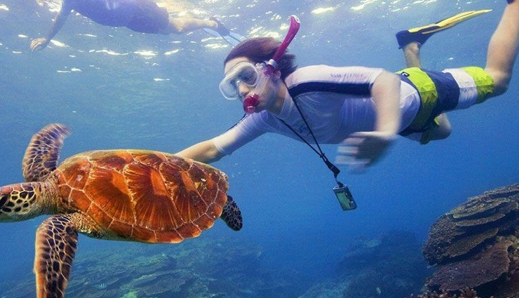 snorkeling in india,best snorkeling spots in india,snorkeling destinations india,andaman snorkeling sites,netrani island snorkeling,lakshadweep snorkeling,snorkeling in goa,tarkarli snorkeling spots,top places for snorkeling in india,marine life snorkeling india
